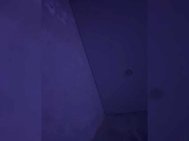 ariellaxx from BongaCams