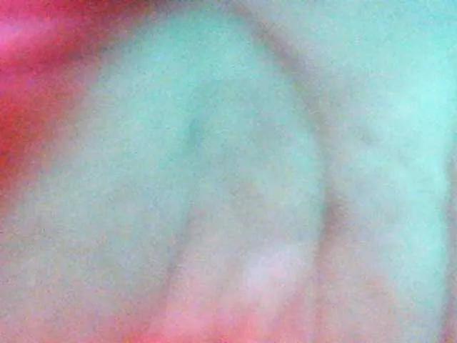 Hot JoeYang from BongaCams JoeYang from BongaCams