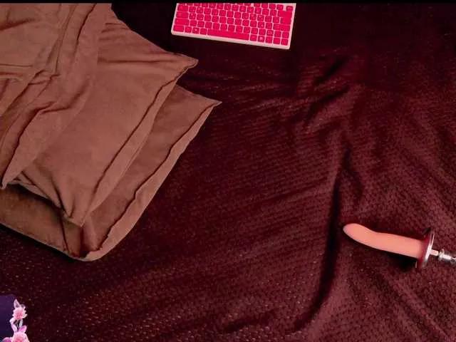 YourfoxAlice from BongaCams