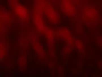 Join Chaturbate's Kloelamaravilla18 kloelamaravilla18 from Chaturbate