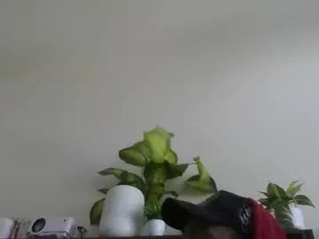 rod14511 from Chaturbate